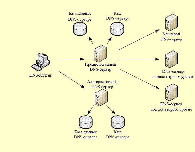 DNS служба доменных имен