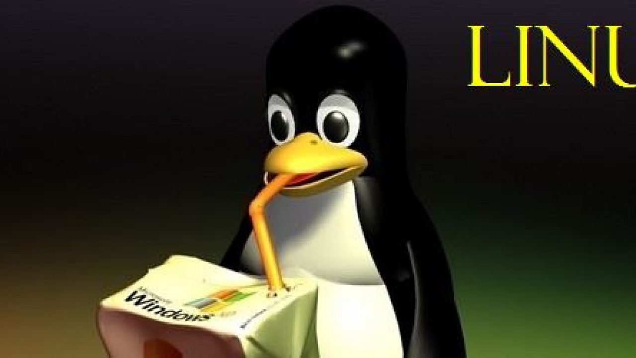 Что такое Linux операционная система | webonto.ru